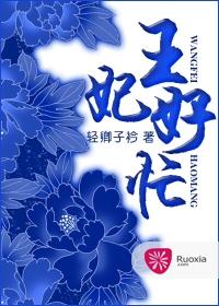 王妃好忙 两头穿越